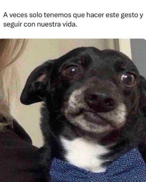 Wendy Ramos Instagram - Aquí van los últimos 12 memes de mi finísima selección que prometí subir 🩷
#Memes2024 #FelizAño