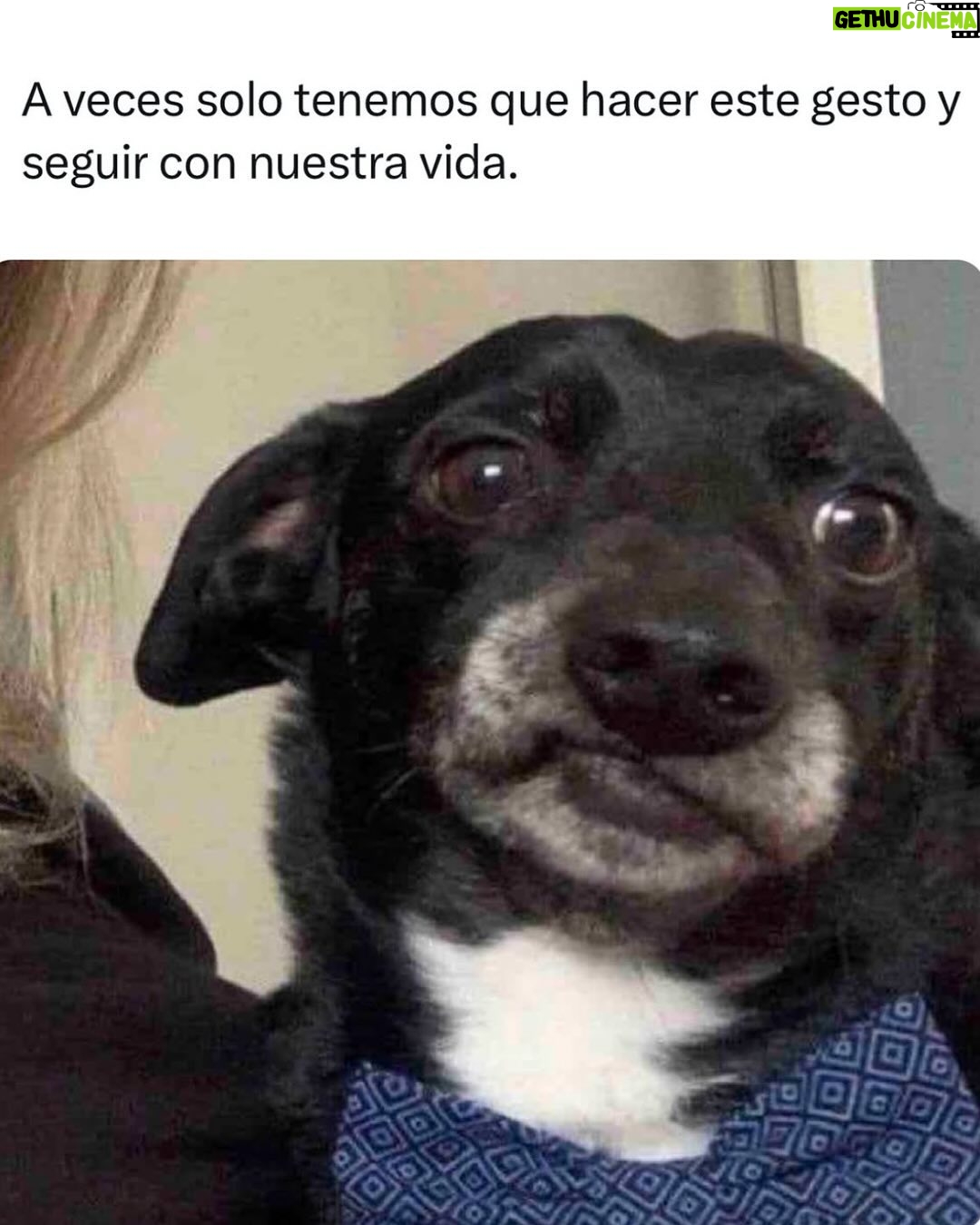 Wendy Ramos - 12.8K Likes - Aquí van los últimos 12 memes de mi finísima selección que prometí subir 🩷

#Memes2024 #FelizAño