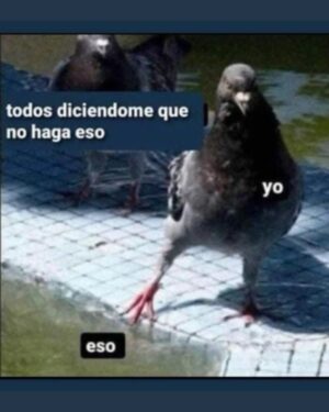 Wendy Ramos Instagram - Aquí van los últimos 12 memes de mi finísima selección que prometí subir 🩷
#Memes2024 #FelizAño
