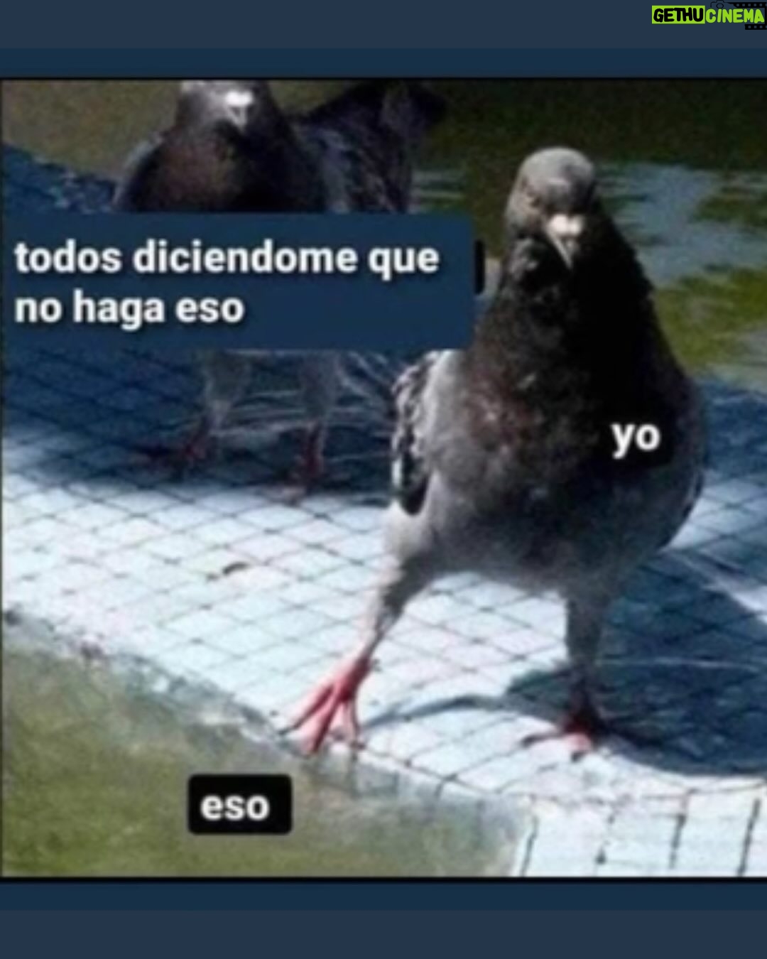Wendy Ramos - 12.8K Likes - Aquí van los últimos 12 memes de mi finísima selección que prometí subir 🩷

#Memes2024 #FelizAño