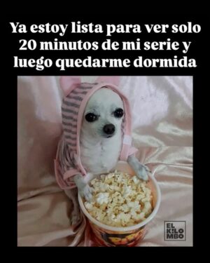 Wendy Ramos Instagram - Aquí van los últimos 12 memes de mi finísima selección que prometí subir 🩷
#Memes2024 #FelizAño