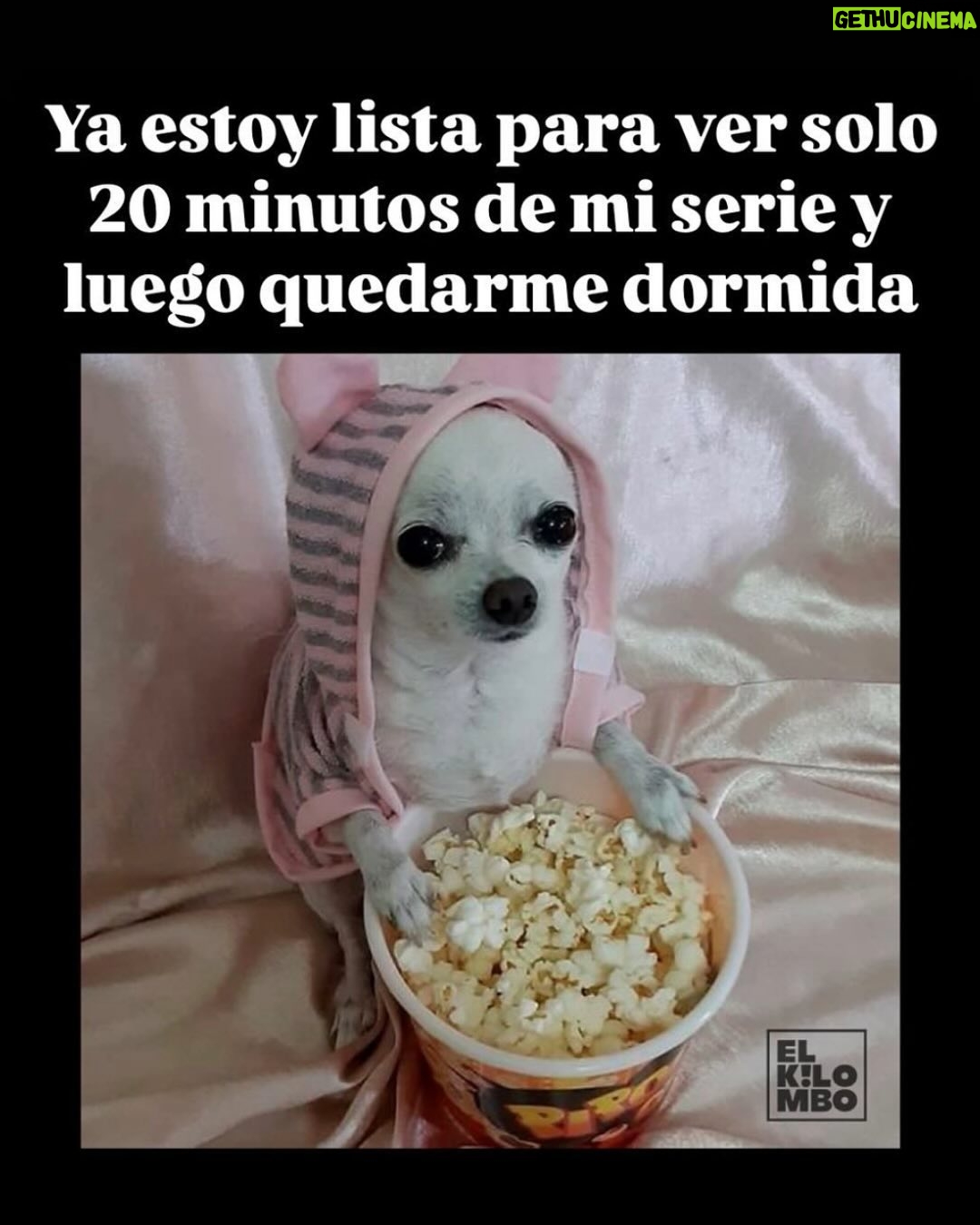 Wendy Ramos - 12.8K Likes - Aquí van los últimos 12 memes de mi finísima selección que prometí subir 🩷

#Memes2024 #FelizAño
