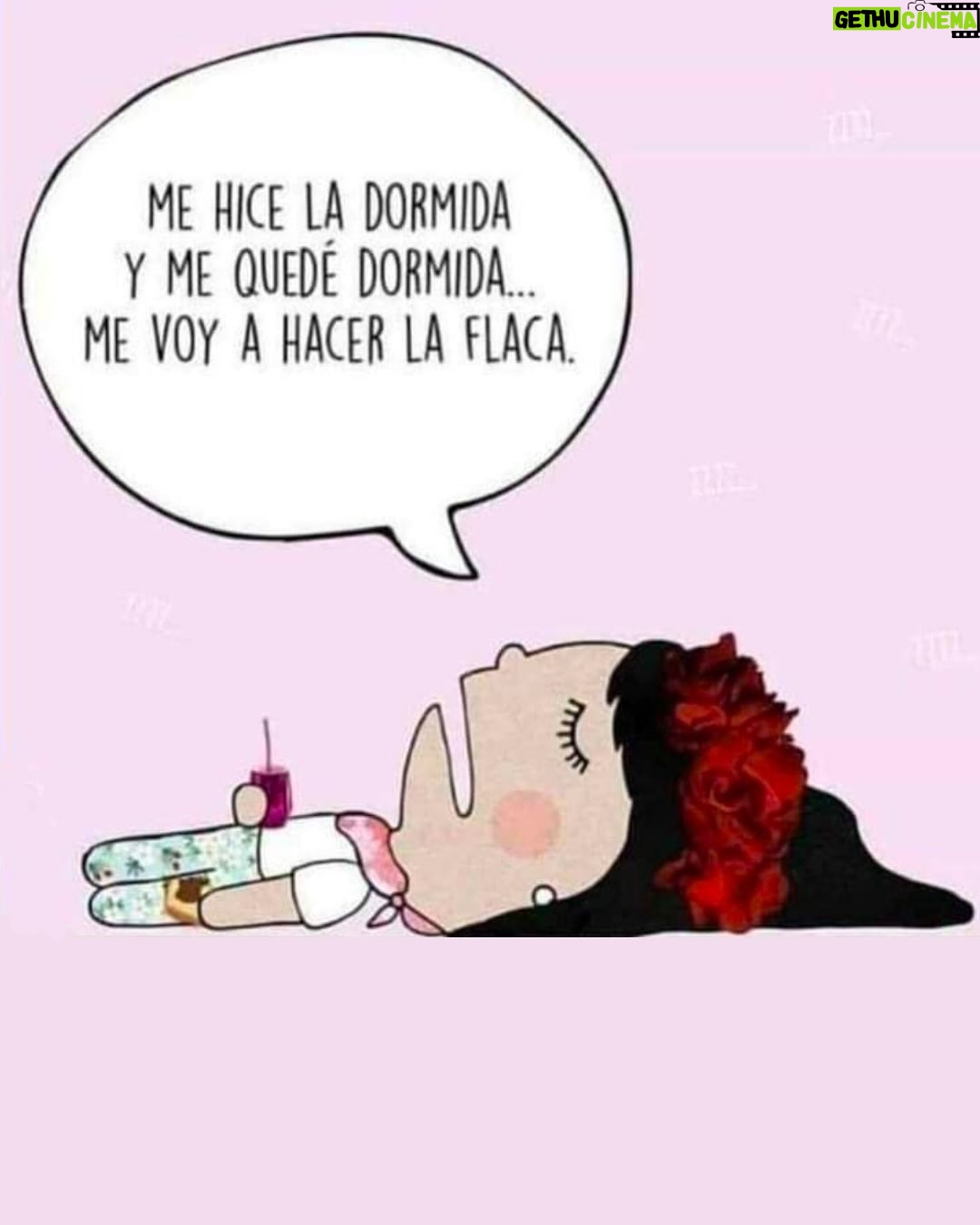Wendy Ramos - 12.8K Likes - Aquí van los últimos 12 memes de mi finísima selección que prometí subir 🩷

#Memes2024 #FelizAño