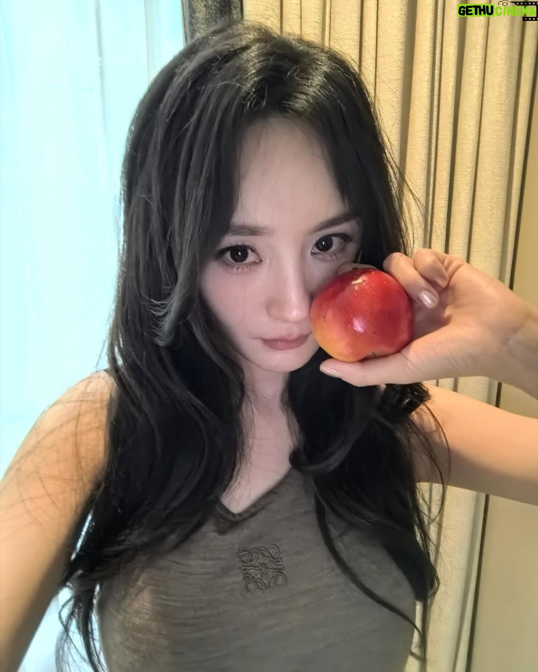 Yang Mi - 103.7K Likes - 👋🗼@Loewe #loewefw25
