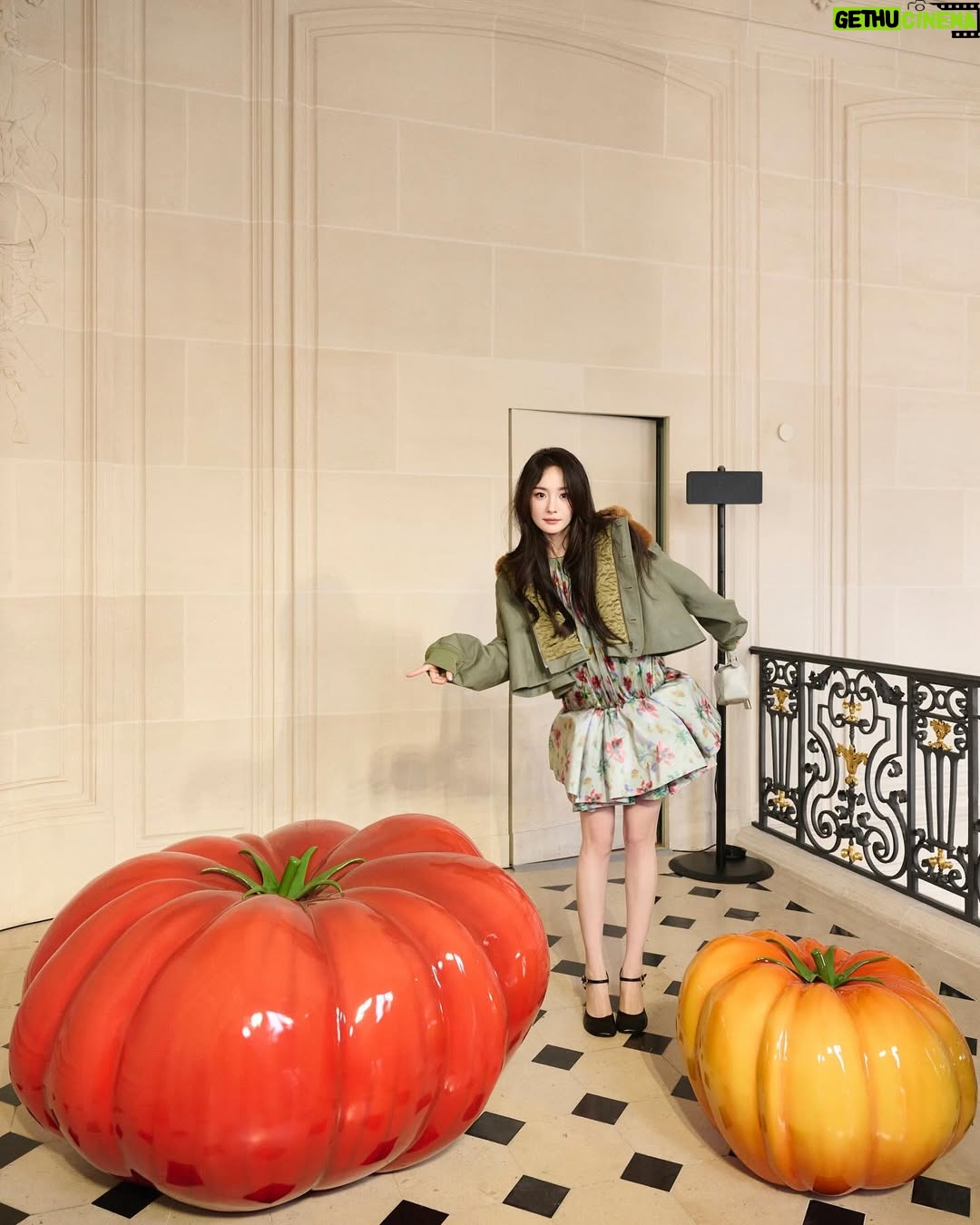 Yang Mi - 103.7K Likes - 👋🗼@Loewe #loewefw25