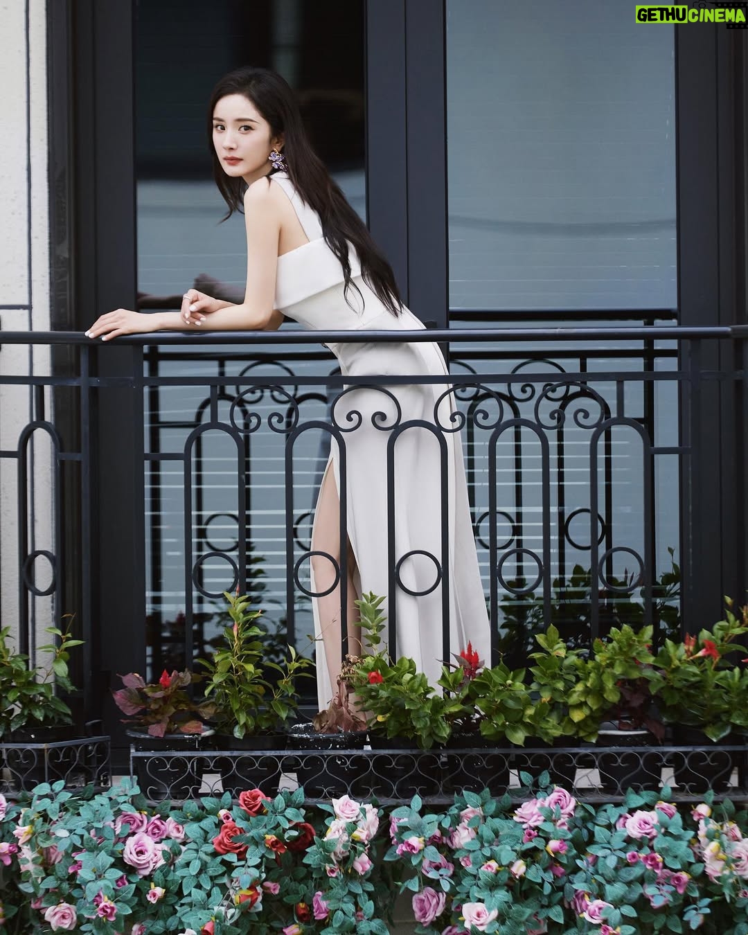 Yang Mi - 90.1K Likes - 成都 ✔️