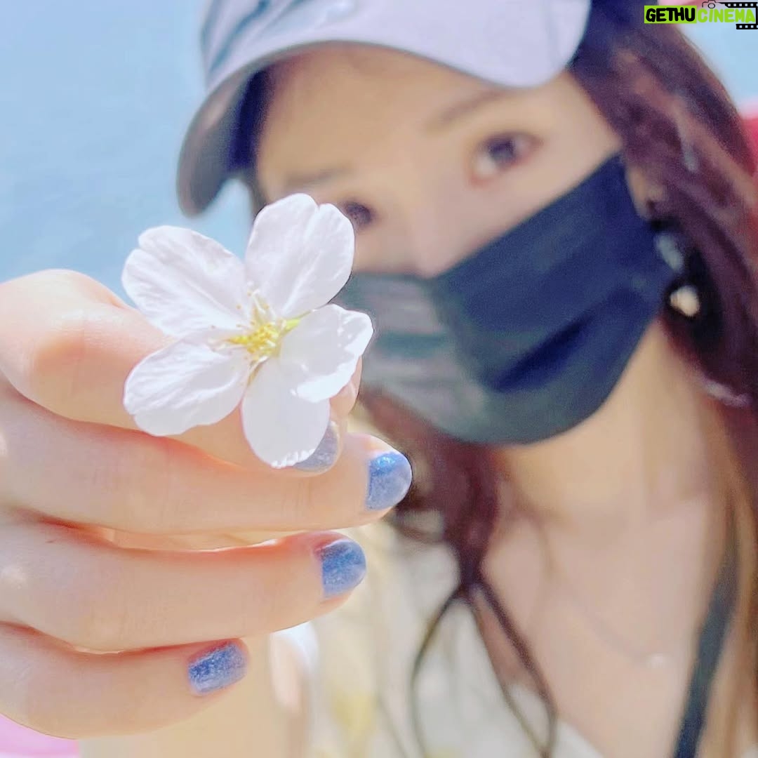 Yang Mi - 101K Likes - 春天的花花～