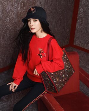 Yang Mi Instagram - Celebrate my year of Tiger with @Etro 
与ETRO一起过虎年！