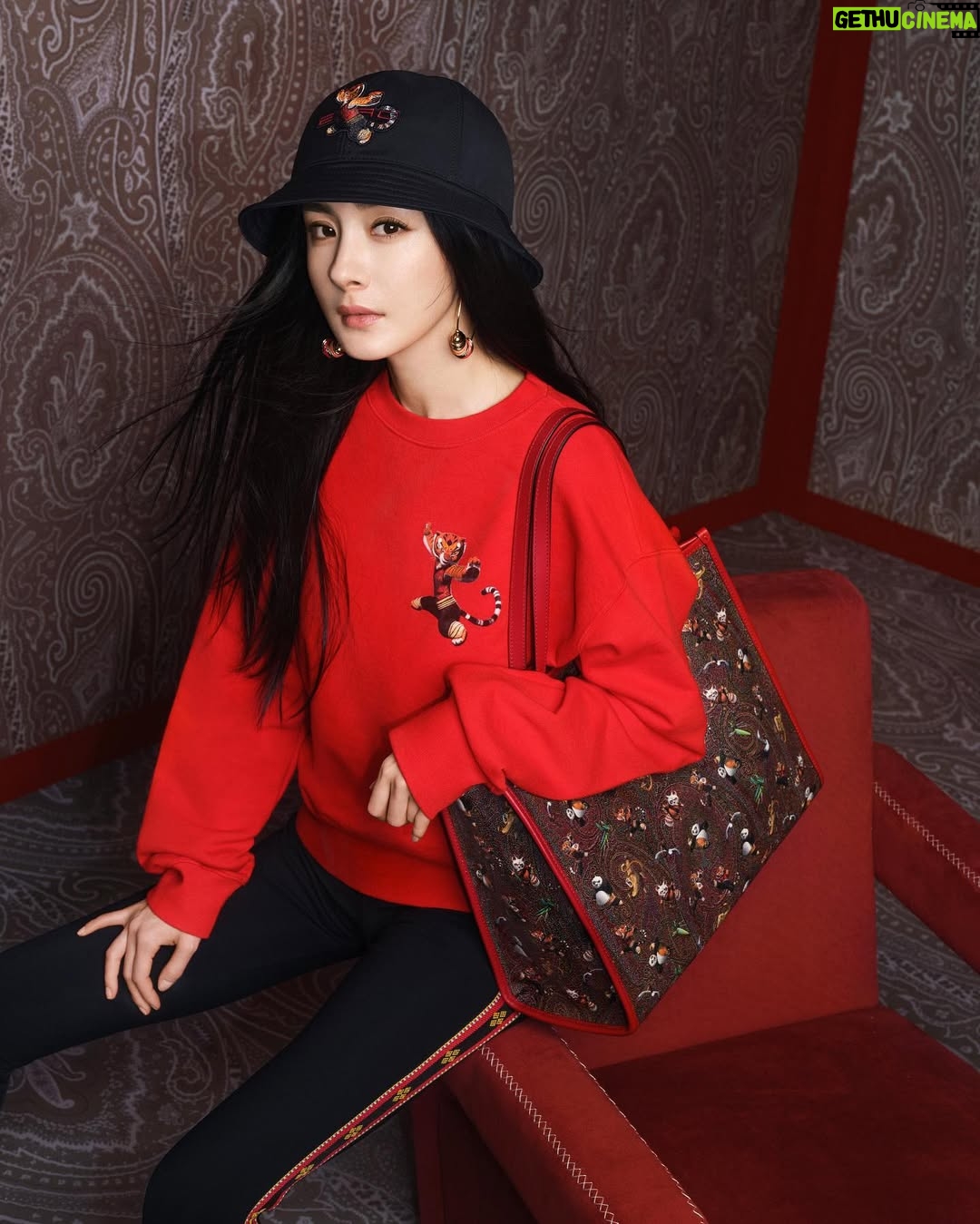 Yang Mi - 86.7K Likes - Celebrate my year of Tiger with @Etro 
与ETRO一起过虎年！