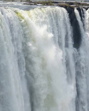 Yarissa Instagram - ”Estoy en el borde de la catarata mÔs grande del mundo!
Este lugar se llama āPiscina Del Diabloā y si eres de los miedosos mĆ”s valientes del mundo puedes llegar aquĆ nadando a travĆ©s del rĆo Zambeze. Con ayuda de la corriente terminarĆ”s en la piscina infinita mĆ”s increĆble del mundo y sentirĆ”s en carne propia los 8.500 millones de litros de agua que caen por las Cataratas Victoria cada minuto.
Nota: EstĆ” completamente prohibido venir aquĆ sin uno de los guĆas especializados y en Ć©poca de lluvia. Esta piscina solo estĆ” disponible de septiembre a diciembre porque son los meses en que las cataratas tienen menos agua.
Es importante destacar que este lugar es mĆ”s un efecto visual que otra cosa ya que en realidad hay un muro natural que impedirĆa por completo que te caigas por las cataratas. Supongo que esa es la razón por la que nunca nadie se ha caĆdo a pesar de que cientos de personas se baƱan aquĆ cada dĆa.
AdemĆ”s, si el sonido del agua te pone nervioso los guĆas te sostendrĆ”n por los pies para que te sientas mĆ”s seguro. Yo sufro un poco de vĆ©rtigo asĆ que investiguĆ© demasiado antes de decidirme a hacerlo y crĆ©anme que cosas mĆ”s peligrosas hace uno sin darse cuenta. En esta piscina no hay forma que te caigas a menos que tu mismo te lances. Creo que esta experiencia no entra ni al top 3 de las cosas mĆ”s aterradoras que he hecho porque se ve aterrador pero en esencia no lo es. Solo serĆa peligroso si eres loco š
LogrĆ© reservar mi cupo a travĆ©s de @Zambezi_Boutique_Guesthouse y fue una de las experiencias mĆ”s increĆbles de mi vida. No me atrevĆ a hacer el Bungee Jumping en las cataratas pero esto si š
#Zambia #VictoriaFalls #DevilsPool
