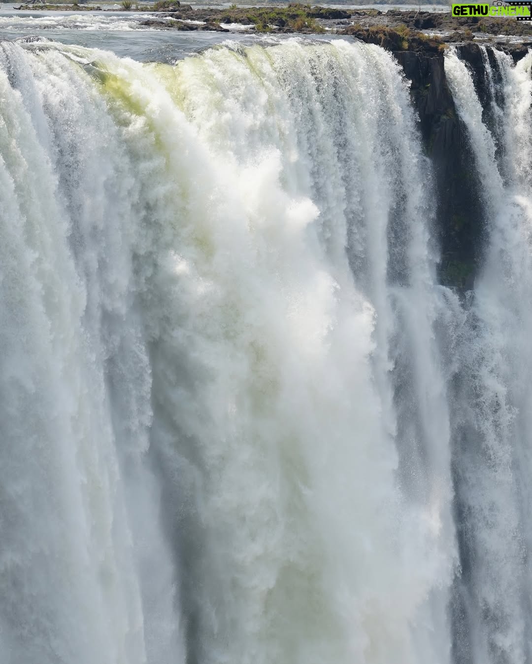 Yarissa - 26.9K Likes - ¡Estoy en el borde de la catarata más grande del mundo! 

Este lugar se llama “Piscina Del Diablo” y si eres de los miedosos más valientes del mundo puedes llegar aquí nadando a través del río Zambeze. Con ayuda de la corriente terminarás en la piscina infinita más increíble del mundo y sentirás en carne propia los 8.500 millones de litros de agua que caen por las Cataratas Victoria cada minuto.

Nota: Está completamente prohibido venir aquí sin uno de los guías especializados y en época de lluvia. Esta piscina solo está disponible de septiembre a diciembre porque son los meses en que las cataratas tienen menos agua.

Es importante destacar que este lugar es más un efecto visual que otra cosa ya que en realidad hay un muro natural que impediría por completo que te caigas por las cataratas. Supongo que esa es la razón por la que nunca nadie se ha caído a pesar de que cientos de personas se bañan aquí cada día.

Además, si el sonido del agua te pone nervioso los guías te sostendrán por los pies para que te sientas más seguro. Yo sufro un poco de vértigo así que investigué demasiado antes de decidirme a hacerlo y créanme que cosas más peligrosas hace uno sin darse cuenta. En esta piscina no hay forma que te caigas a menos que tu mismo te lances. Creo que esta experiencia no entra ni al top 3 de las cosas más aterradoras que he hecho porque se ve aterrador pero en esencia no lo es. Solo sería peligroso si eres loco 😂

Logré reservar mi cupo a través de @Zambezi_Boutique_Guesthouse y fue una de las experiencias más increíbles de mi vida. No me atreví a hacer el Bungee Jumping en las cataratas pero esto si 😍

#Zambia #VictoriaFalls #DevilsPool