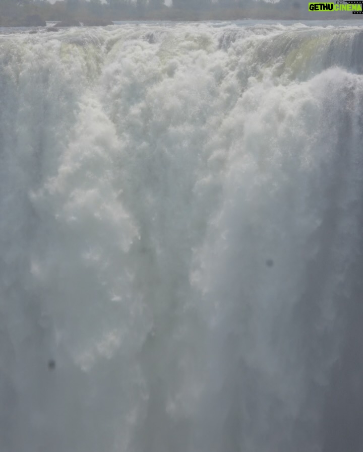 Yarissa - 26.9K Likes - ¡Estoy en el borde de la catarata más grande del mundo! 

Este lugar se llama “Piscina Del Diablo” y si eres de los miedosos más valientes del mundo puedes llegar aquí nadando a través del río Zambeze. Con ayuda de la corriente terminarás en la piscina infinita más increíble del mundo y sentirás en carne propia los 8.500 millones de litros de agua que caen por las Cataratas Victoria cada minuto.

Nota: Está completamente prohibido venir aquí sin uno de los guías especializados y en época de lluvia. Esta piscina solo está disponible de septiembre a diciembre porque son los meses en que las cataratas tienen menos agua.

Es importante destacar que este lugar es más un efecto visual que otra cosa ya que en realidad hay un muro natural que impediría por completo que te caigas por las cataratas. Supongo que esa es la razón por la que nunca nadie se ha caído a pesar de que cientos de personas se bañan aquí cada día.

Además, si el sonido del agua te pone nervioso los guías te sostendrán por los pies para que te sientas más seguro. Yo sufro un poco de vértigo así que investigué demasiado antes de decidirme a hacerlo y créanme que cosas más peligrosas hace uno sin darse cuenta. En esta piscina no hay forma que te caigas a menos que tu mismo te lances. Creo que esta experiencia no entra ni al top 3 de las cosas más aterradoras que he hecho porque se ve aterrador pero en esencia no lo es. Solo sería peligroso si eres loco 😂

Logré reservar mi cupo a través de @Zambezi_Boutique_Guesthouse y fue una de las experiencias más increíbles de mi vida. No me atreví a hacer el Bungee Jumping en las cataratas pero esto si 😍

#Zambia #VictoriaFalls #DevilsPool