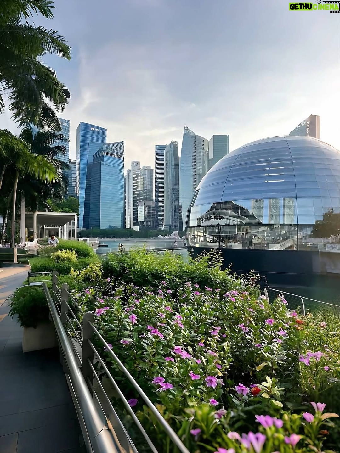 Yashika Khatri - 14.5K Likes - What a lovely, sunny day in Singapore🤍