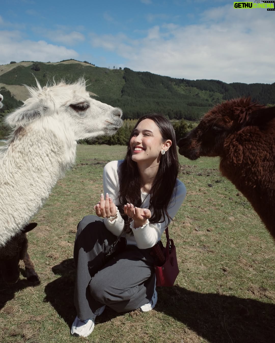 Yasmin Napper - 231K Likes - Van trip bucket list checked off ☑️🤎