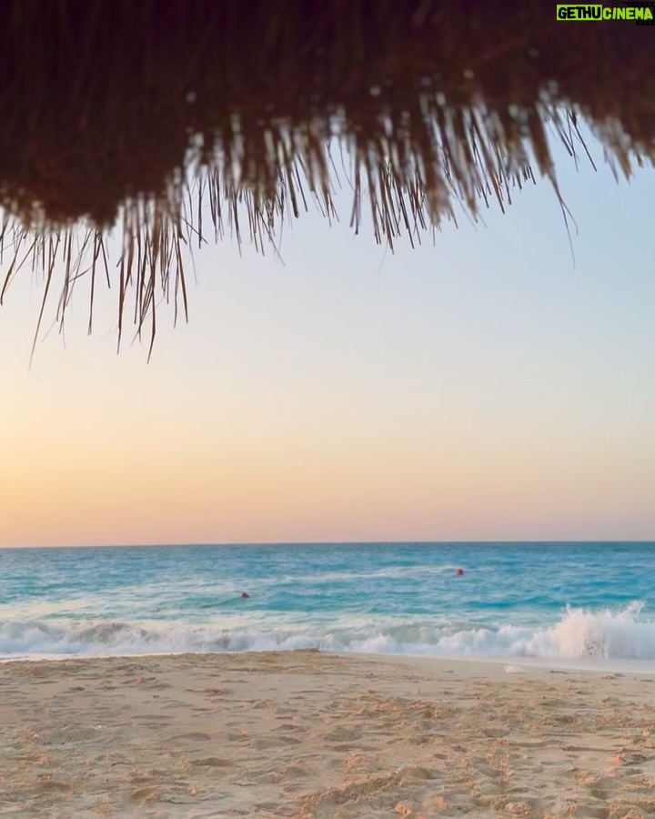 Yasmine El Khateib - 10.1K Likes - Chapter 8 of 12 🧡☀️🐚🦀