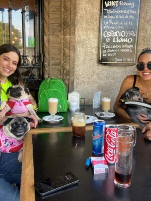 Yuliana Peniche Instagram - Amo estas fotos con mis perrhijas bellas ♥️ 🐶 ♥️ Fue al primer evento que las llevamos el año pasado y fue de @jackymollyofficial Estuvo increíble 🙌🏼✨🙌🏼
Los 3 amores de mi vida definitivamente 💯
@marcosabellaterrazo Kay y Kira ♥️♥️♥️
#love #pug #pugs #puglove #pugoftheday #puglover #pugworld #puglife #puglovers