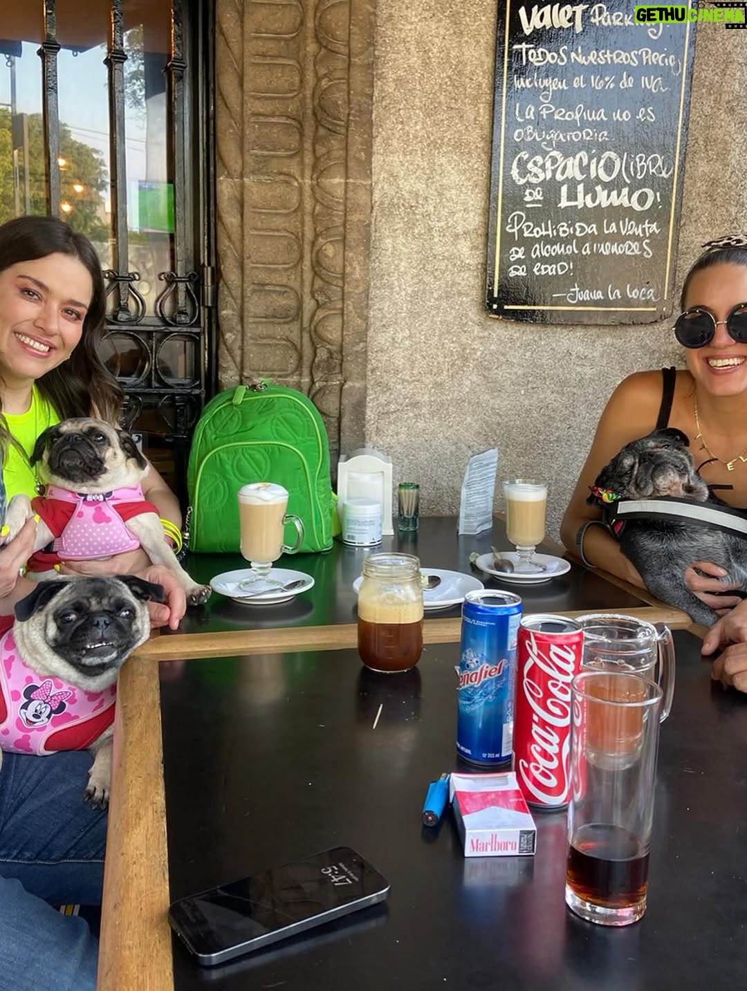 Yuliana Peniche - 1.2K Likes - Amo estas fotos con mis perrhijas bellas ♥️ 🐶 ♥️ Fue al primer evento que las llevamos el año pasado y fue de @jackymollyofficial Estuvo increíble 🙌🏼✨🙌🏼
Los 3 amores de mi vida definitivamente 💯 
@marcosabellaterrazo Kay y Kira ♥️♥️♥️

#love #pug #pugs #puglove #pugoftheday #puglover #pugworld #puglife #puglovers