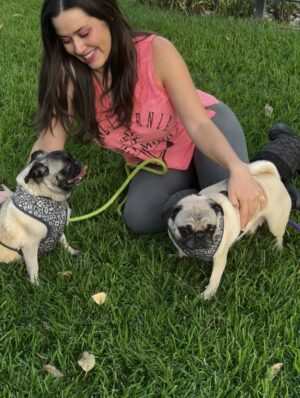 Yuliana Peniche Instagram - Son mis ángeles 👼 de cuatro patas 🐾 Éstas chaparritas bellas son mi vida entera 💕🐶🙌🏼💖🫶 💞Kay & Kira💞
#kira #kay #amor #pugs #puglove #pug #pugslife #pugslover #yuliannapeniche
