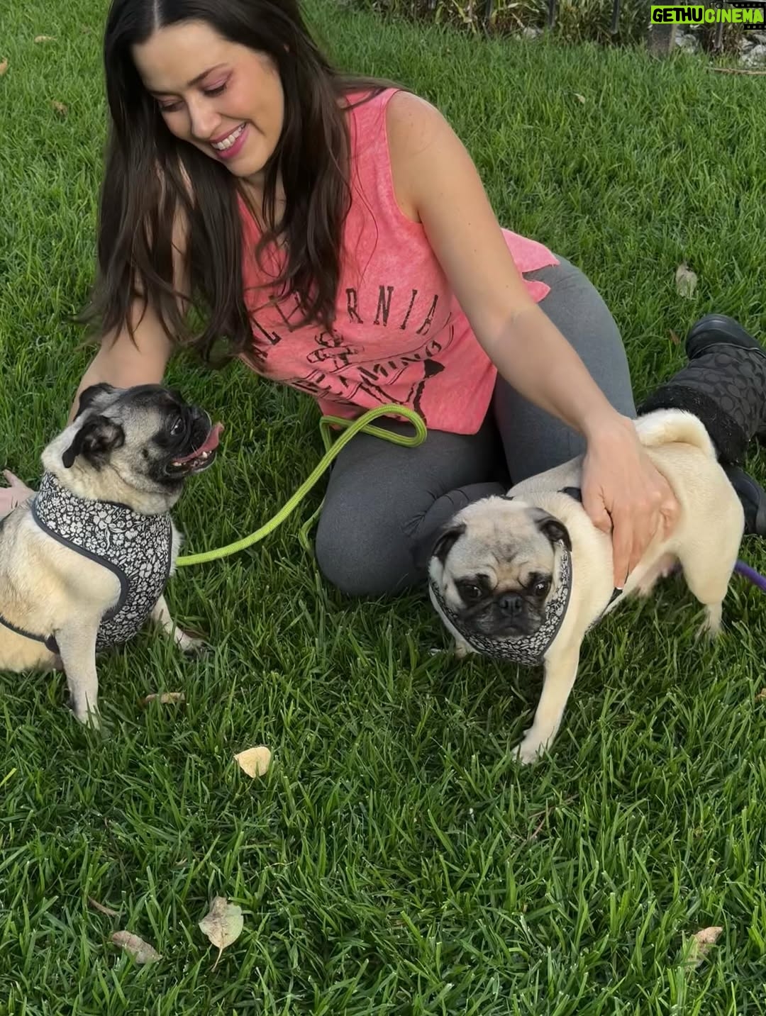 Yuliana Peniche - 1K Likes - Son mis ángeles 👼 de cuatro patas 🐾 Éstas chaparritas bellas son mi vida entera 💕🐶🙌🏼💖🫶 💞Kay & Kira💞

#kira #kay #amor #pugs #puglove #pug #pugslife #pugslover #yuliannapeniche