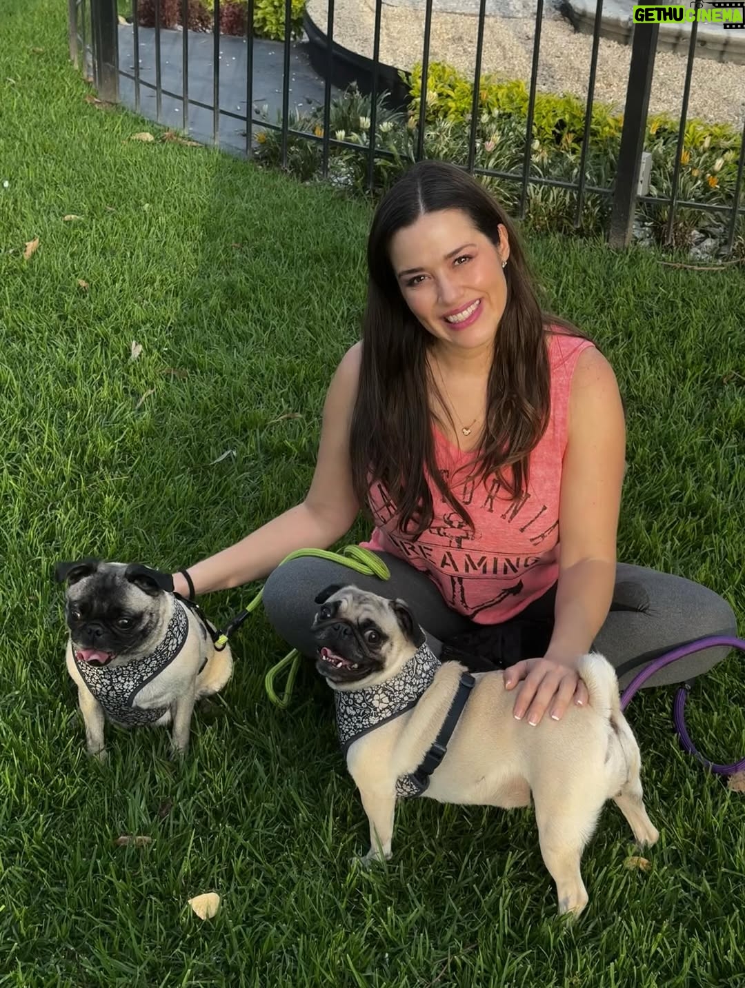 Yuliana Peniche - 1K Likes - Son mis ángeles 👼 de cuatro patas 🐾 Éstas chaparritas bellas son mi vida entera 💕🐶🙌🏼💖🫶 💞Kay & Kira💞

#kira #kay #amor #pugs #puglove #pug #pugslife #pugslover #yuliannapeniche