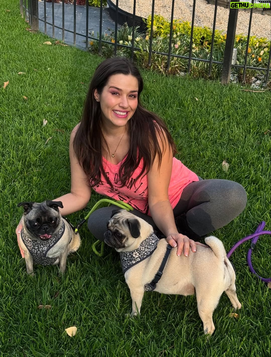 Yuliana Peniche - 1K Likes - Son mis ángeles 👼 de cuatro patas 🐾 Éstas chaparritas bellas son mi vida entera 💕🐶🙌🏼💖🫶 💞Kay & Kira💞

#kira #kay #amor #pugs #puglove #pug #pugslife #pugslover #yuliannapeniche