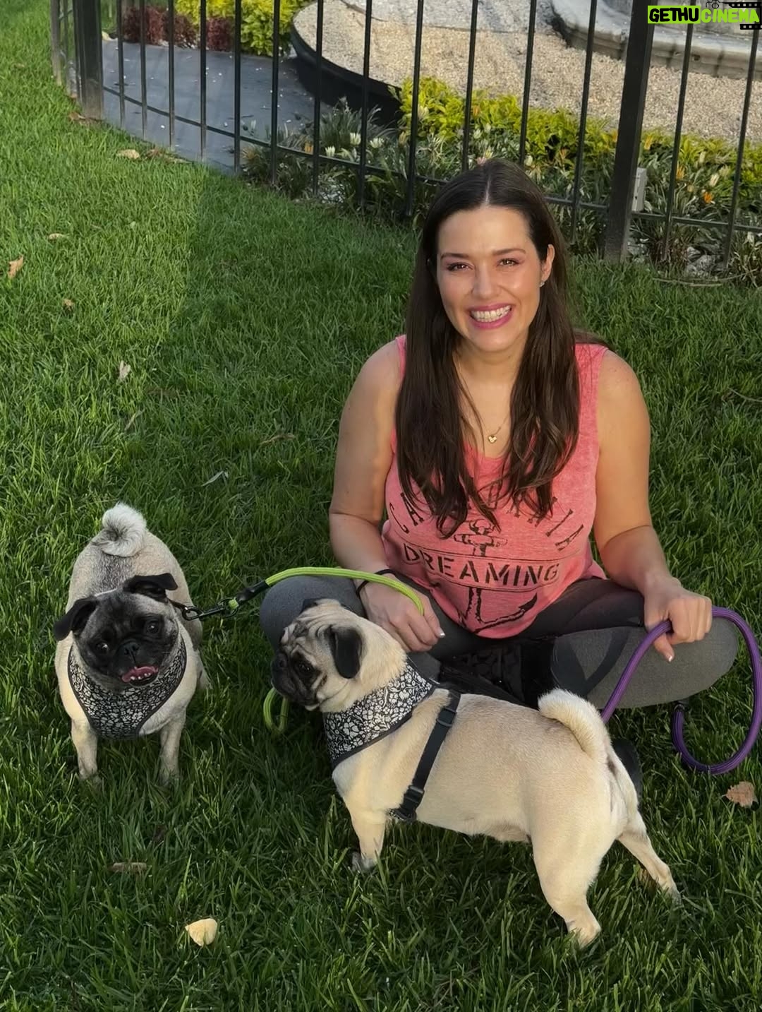 Yuliana Peniche - 1K Likes - Son mis ángeles 👼 de cuatro patas 🐾 Éstas chaparritas bellas son mi vida entera 💕🐶🙌🏼💖🫶 💞Kay & Kira💞

#kira #kay #amor #pugs #puglove #pug #pugslife #pugslover #yuliannapeniche