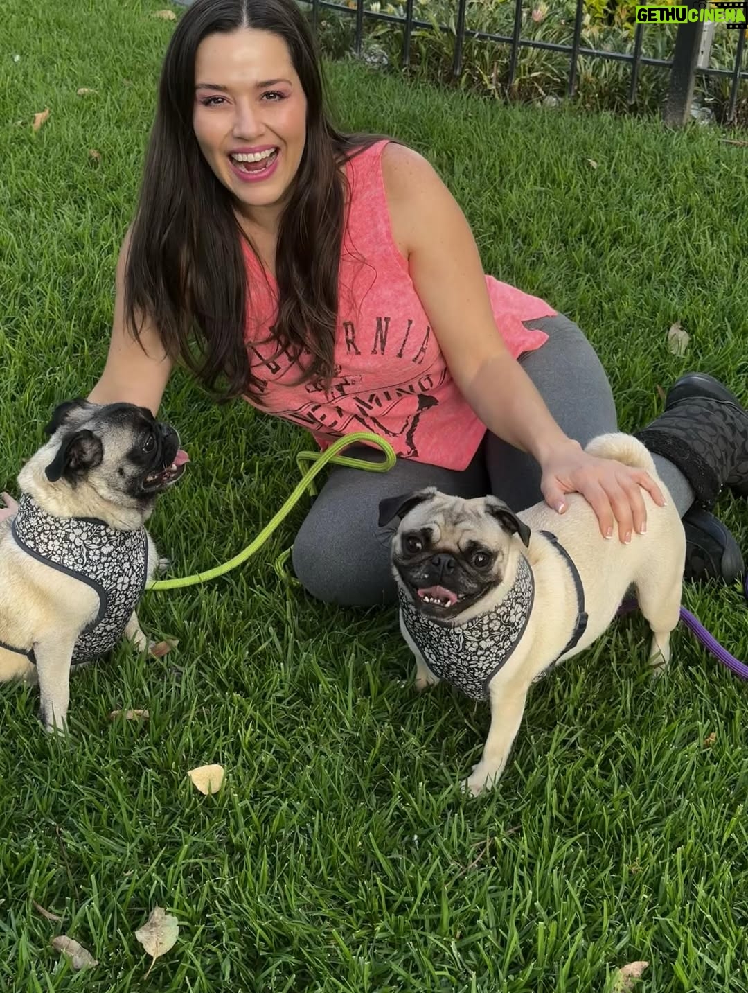 Yuliana Peniche - 1K Likes - Son mis ángeles 👼 de cuatro patas 🐾 Éstas chaparritas bellas son mi vida entera 💕🐶🙌🏼💖🫶 💞Kay & Kira💞

#kira #kay #amor #pugs #puglove #pug #pugslife #pugslover #yuliannapeniche