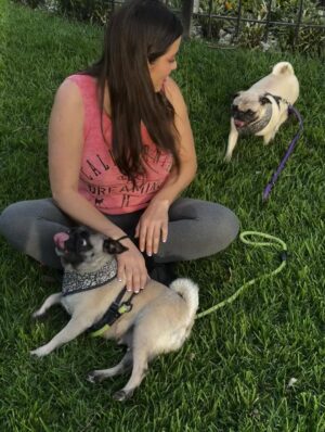 Yuliana Peniche Instagram - Son mis ángeles 👼 de cuatro patas 🐾 Éstas chaparritas bellas son mi vida entera 💕🐶🙌🏼💖🫶 💞Kay & Kira💞
#kira #kay #amor #pugs #puglove #pug #pugslife #pugslover #yuliannapeniche
