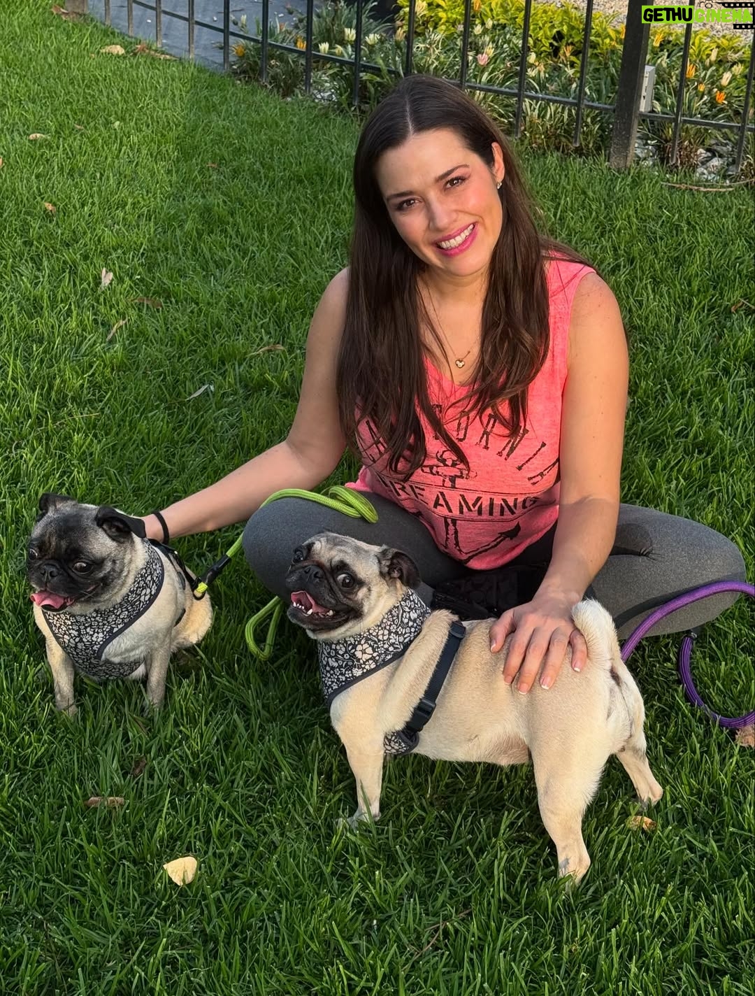 Yuliana Peniche - 1K Likes - Son mis ángeles 👼 de cuatro patas 🐾 Éstas chaparritas bellas son mi vida entera 💕🐶🙌🏼💖🫶 💞Kay & Kira💞

#kira #kay #amor #pugs #puglove #pug #pugslife #pugslover #yuliannapeniche