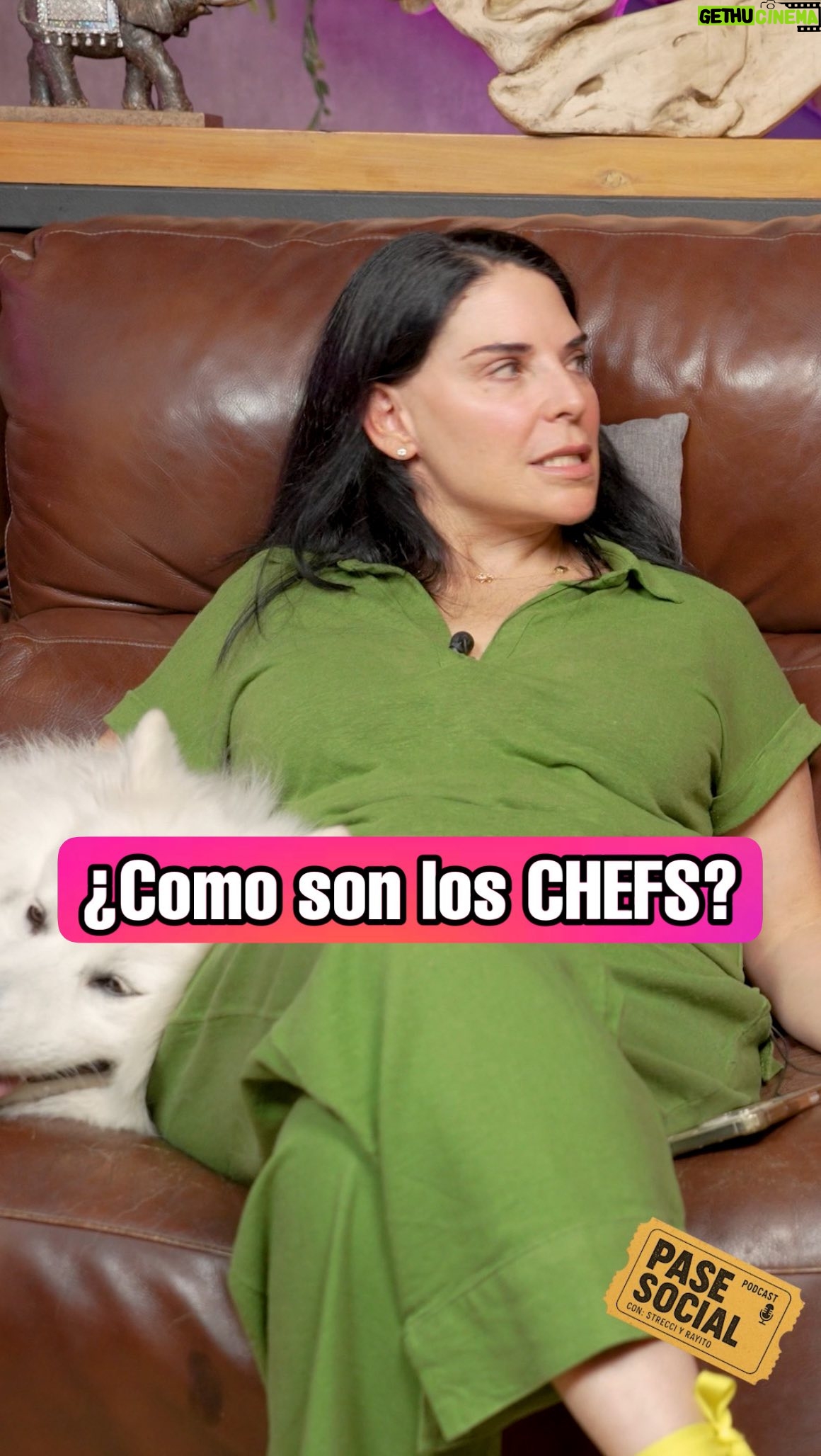 Zahie Téllez - 2.2K Likes - ¿Así serán todos los chefs? @zahietellez nos saca de dudas en @pasesocial 😱. Disponible por YouTube y Spotify,