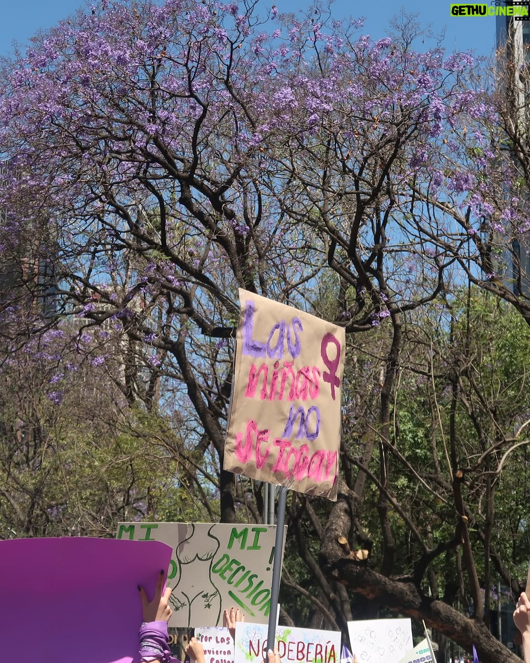 Zuria Vega - 83.5K Likes - 8M 💜🦋💚

Hoy fue especial xq marchaste conmigo por primera vez, que tu voz siempre se escuche fuerte por ti y por las demás.
Te ama, tu mamá.