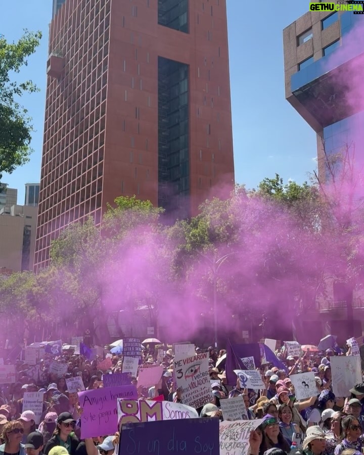 Zuria Vega - 83.5K Likes - 8M 💜🦋💚

Hoy fue especial xq marchaste conmigo por primera vez, que tu voz siempre se escuche fuerte por ti y por las demás.
Te ama, tu mamá.