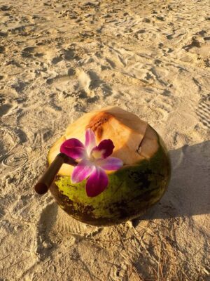 anshikaa Instagram - shells & SPF🐚🌊🌺🧜♀️