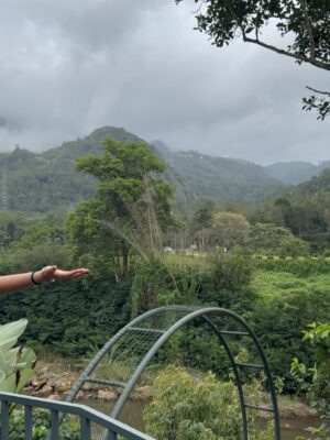 deeksha Instagram - She’s not lost in nature, she’s part of it🌱🌴
📍 @edenwoodsresortmunnar
@nichestays
Wearing - @a.la.modebyakanksha