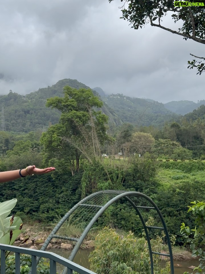 deeksha - 33.7K Likes - She’s not lost in nature, she’s part of it🌱🌴
📍 @edenwoodsresortmunnar 
@nichestays 
Wearing - @a.la.modebyakanksha