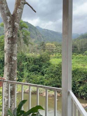 deeksha Instagram - She’s not lost in nature, she’s part of it🌱🌴
📍 @edenwoodsresortmunnar
@nichestays
Wearing - @a.la.modebyakanksha