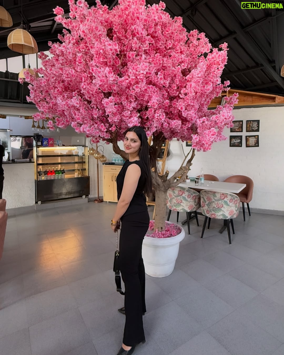 sheenam rajta - 2.5K Likes - Sucker for pretty places 🥰
.
.
.
.
.
.
.
.
.

#ootdfashion#ootdinspiration#fashionblogger#influencer#pastelcolors#summerfashion#summervibes#picoftheday#instadailyphoto#zaradress#zarajeans#zaracroptop#urbanic#dress#winter#coordset