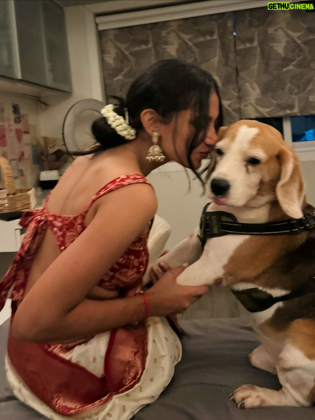 Aanchal Badola - 13.4K Likes - pooh bani parvati vibes (literally) 
first year of keeping bappa at my place and my heart is so full , from being a girl who was all about masti during festive season to taking up responsibilities like its easy… from learning aarti to feeling his presence at home- surreal is an understatement 💗