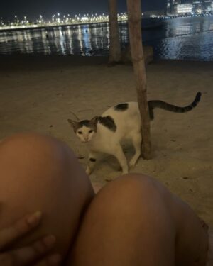 Aanchal Malhotra Instagram - Swipe till end to watch a cat say hi to me!!!! NOT KIDDING 😭
.
.
.
.
.
.
.
.
#dubai🇦🇪 #dubai #dubaiblogger #fashionblogger #fashionupdate #beauty #postoftheday #potd #ootn #allwhite #aesthetics #dubailife #dubainight #dubainightlife #traveldubai #dubaifashion #dubaibeach #dubaibeauty #whiteoutfit #elegantstyle #elegantoutfit #beachvibes #vacation #dubaimarina