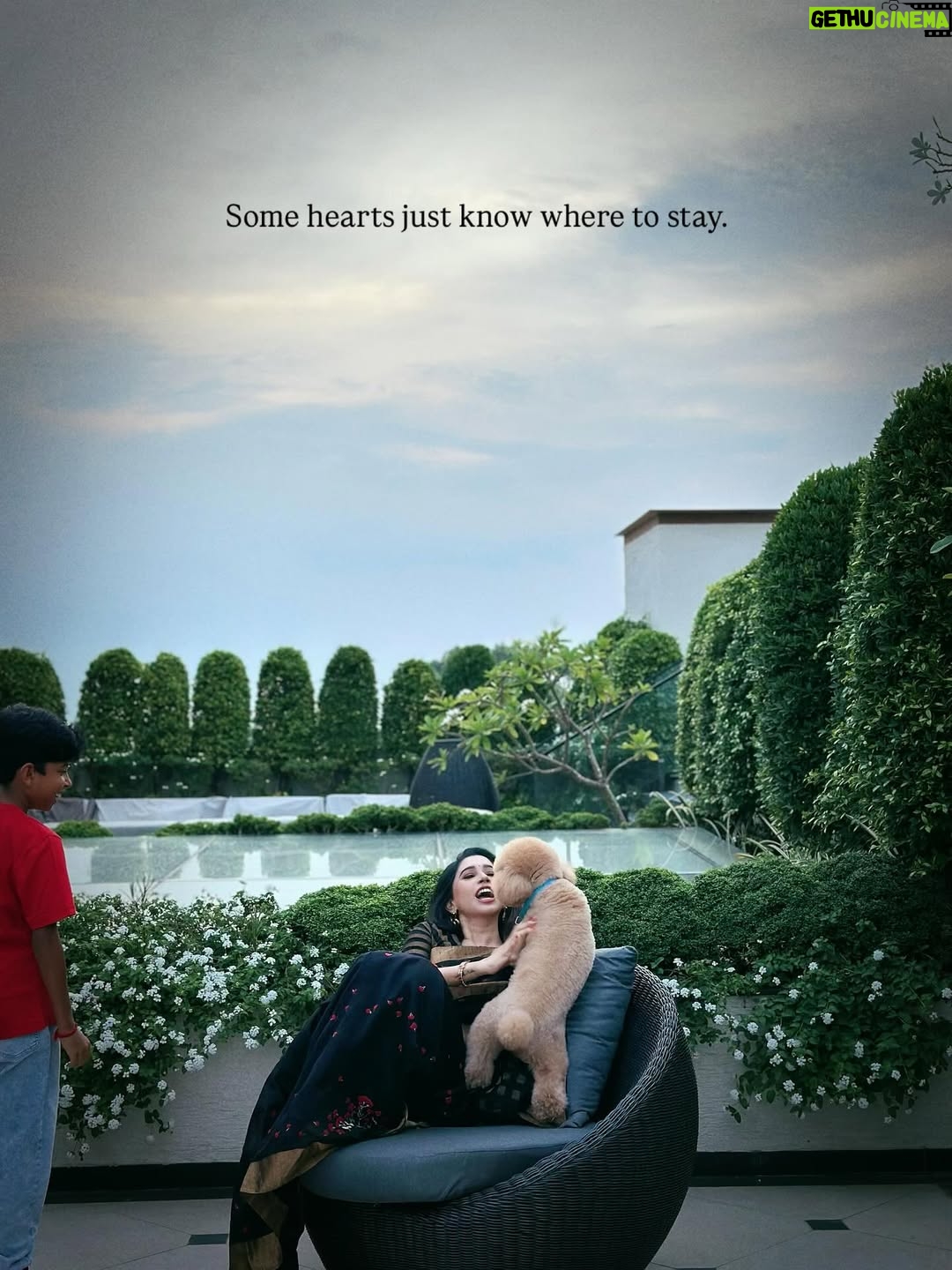 Aarthi - 471K Likes - இதயத்தில் ஏதோ ஒன்று… 🌿🖤

Some evenings —
a sunset among a few growing things,
two arms that hold on tight,
a heart that stays close without words…
the quiet kind of love that makes everything feel whole.