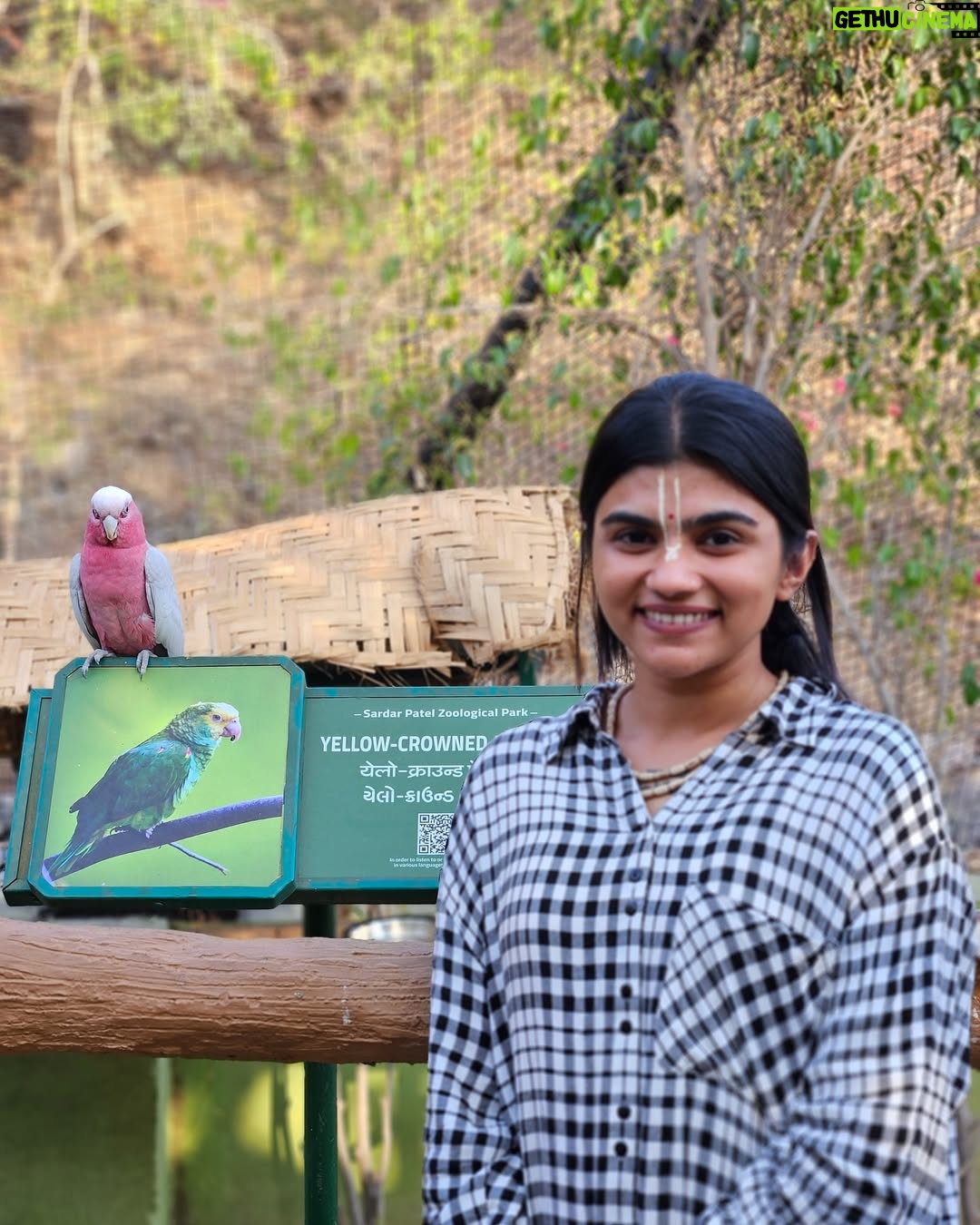 Aarti Chauhan - 4.6K Likes - 🧡Great memories, endless adventures! ✨ From Jungle Safari to River Rafting, Arogya Van to the majestic Statue of Unity – Ekta Nagar has it all! #UnforgettableExperience #ektanagarvibes #soudiaries #bhaktipathbyjiya🙏🏻 #jiyadangar