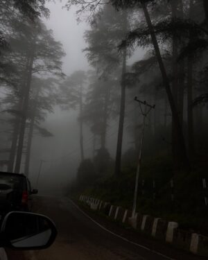 Aarushi Abrol Instagram - Summer High <3
#photodump #life #lifelately #instagood #trending #fyp #explorepage #lifeisgood