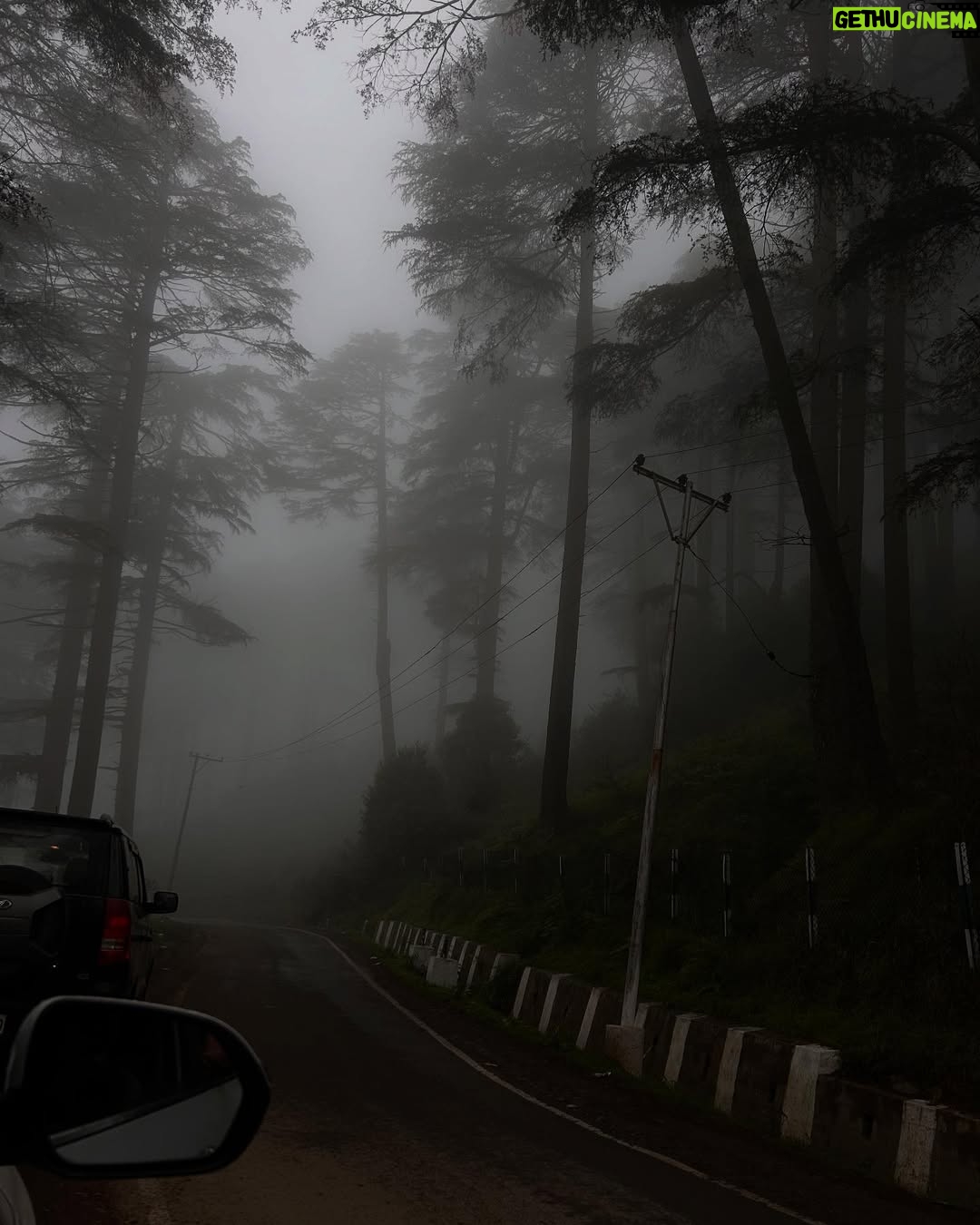 Aarushi Abrol - 1.2K Likes - Summer High <3 

#photodump #life #lifelately #instagood #trending #fyp #explorepage #lifeisgood