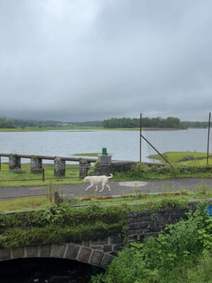 Aarushi Abrol Instagram - weekend getaway 🌩️
#explore #instagram #potd #monsoon #lonavala #mumbai #hills #mountains #monsoongetaway