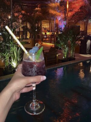 Aayushi Sharma Instagram - A birthday photo dump from a night that was way too fun to gatekeep🍸
Big love to @raeethgoa and @buzzbetter.india for the best energy! 🥂