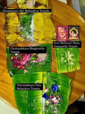 Abhinaya Instagram - 1.  Ettumanoor Shri Mahadeva Temple

2. Sree Malliyoor Maha Ganapathy 

3. Chottanikkara Bhagavathy Temple 

4. Thirunakkara Sree Mahadeva Temple