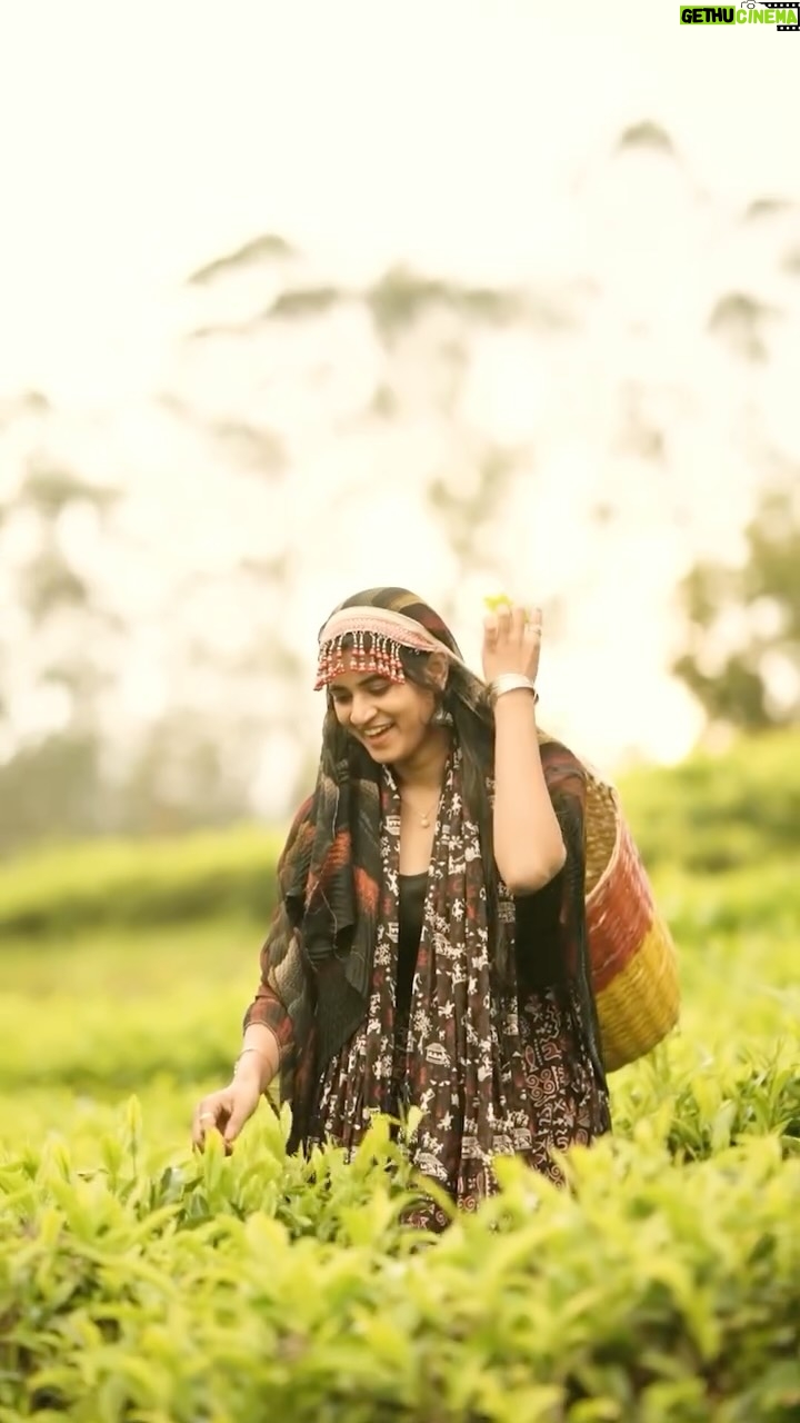 Abi - 111.7K Likes - இதயத்தை காத்தாடி ஆக்கி புட்டா💕🧿

and My fav’s 

🎞️ In frame: @thefaceofabi
🎥 Cinematography: @frames.by_sarath
💄 MUA: @_kikistouch_ 
👗 Costume: @rohinii_arumugam 

#reels #content #reelsinstagram #thefaceofabi #osaka