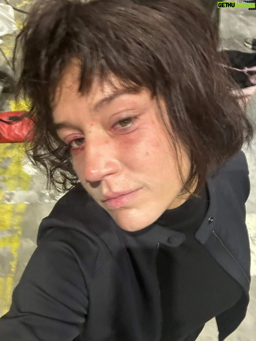 Adèle Exarchopoulos - 175.7K Likes - CHIEN 51 de Cedric Jimenez en salles aujourd’hui 🖤🎬🕶️♟️🕷️🐈‍⬛✔️🐦‍⬛◼️♠️🏴❤️ 

#yslmakeup