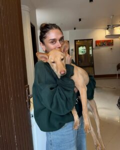 Actress Aditi Rao Hydari HD Photos and Wallpapers January 2026