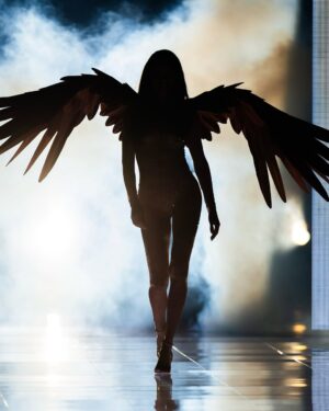 Adriana Lima Instagram - And thats 20!!!! Forever grateful for those that helped me get to this point! I love you all! @victoriassecret 💗🪽